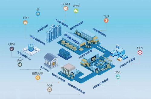 上海冷鏈物流公司競相角逐，以技術(shù)服務驅(qū)動行業(yè)多元競爭與輝煌
